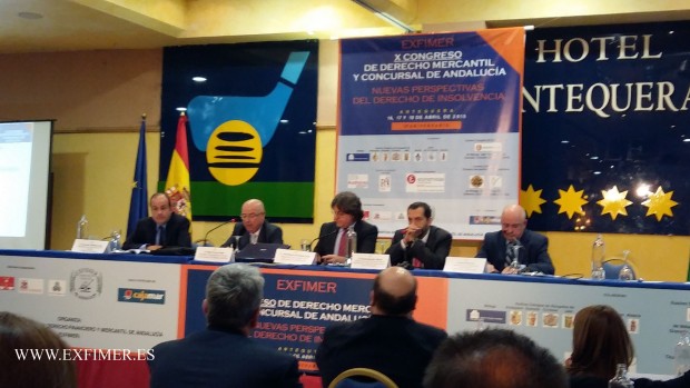 PONENCIA-CONCURSO-PARTICULARES-EXFIMER2015